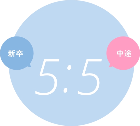 新卒・中途の割合新卒5中途5